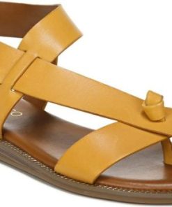 Amberarchives.shop0678ca7cf0 1