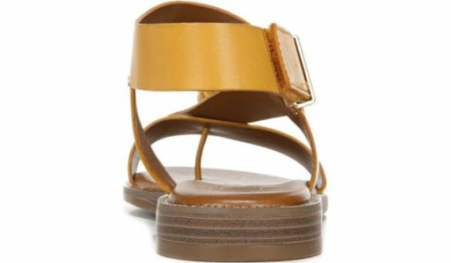 Amberarchives.shop0678ca7cf0 6