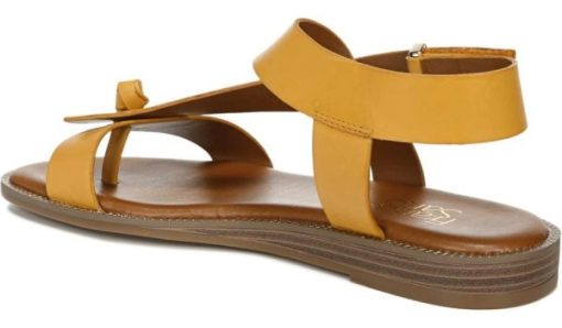 Amberarchives.shop0678ca7cf0 9