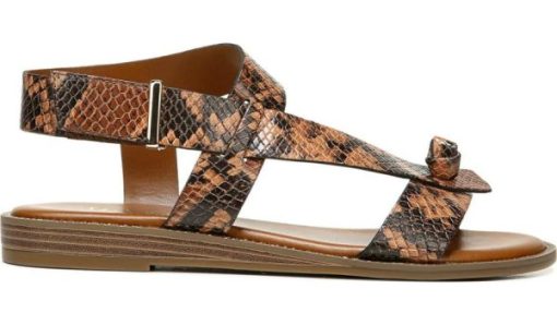 Amberarchives.shop0a2bd0f095 3