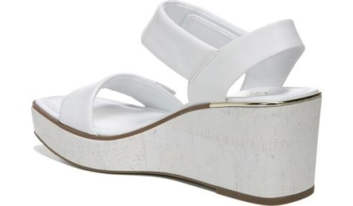 Amberarchives.shop1014b725cc 2
