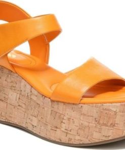 Amberarchives.shop1c7e0f57f5 1