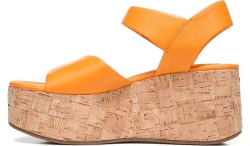 Amberarchives.shop1c7e0f57f5 5