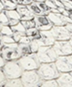 Amberarchives.shop1cc612efa6 10