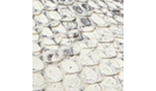 Amberarchives.shop1cc612efa6 10