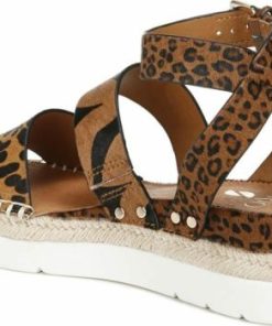 Amberarchives.shop2258fa9584 9