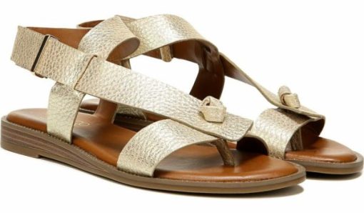 Amberarchives.shop39847e5e53 2