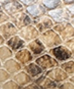 Amberarchives.shop41eac5ec99 10