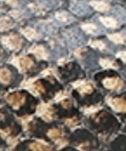 Amberarchives.shop46e4838a0e 10