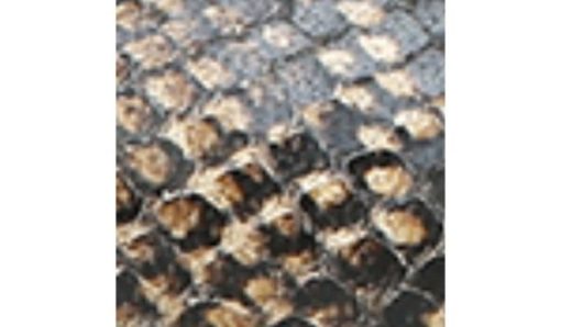 Amberarchives.shop46e4838a0e 10