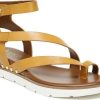 Amberarchives.shop48f6d3b855 1