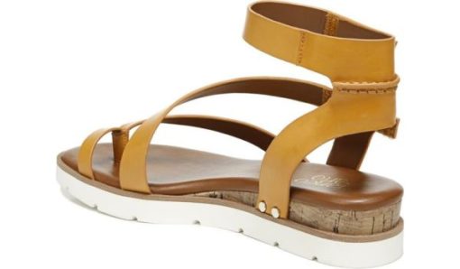 Amberarchives.shop48f6d3b855 9
