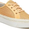 Amberarchives.shop5e250f8ce4 1