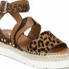 Amberarchives.shop69ba1f1450 1