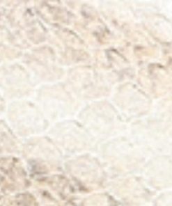 Amberarchives.shop70bd0aa8c1 10