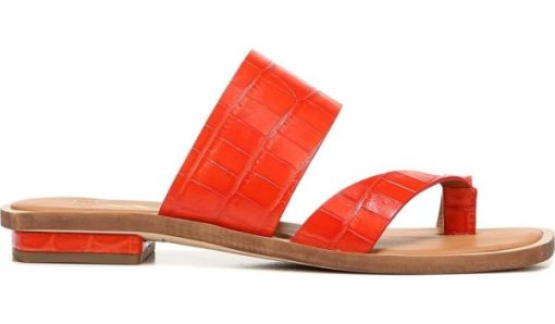Amberarchives.shop79ab810e99 3