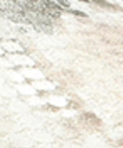 Amberarchives.shop79f4e96534 10
