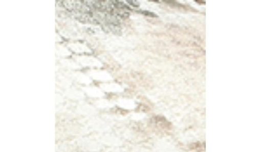 Amberarchives.shop79f4e96534 10