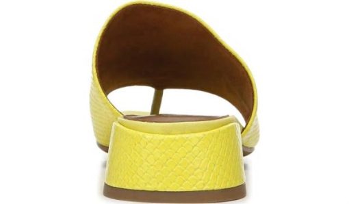 Amberarchives.shop82605c778c 6