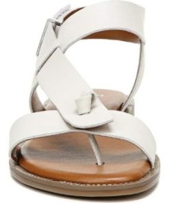 Amberarchives.shop863756bfe5 4