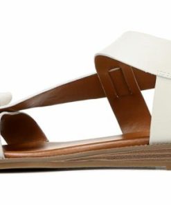 Amberarchives.shop863756bfe5 5