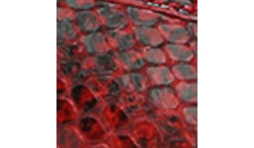 Amberarchives.shop88efb92fa5 10