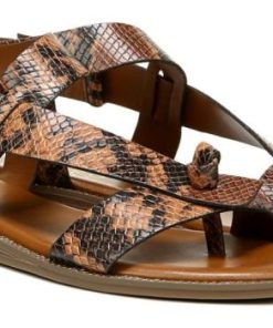 Amberarchives.shop89d5ba3be6 2