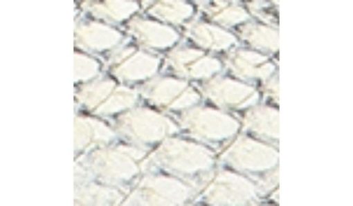 Amberarchives.shop8cc0bfe715 10