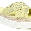 Amberarchives.shop8fdb848cc4 1