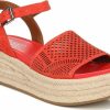 Amberarchives.shop9325cc8ce4 1