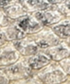 Amberarchives.shop96a19be7e1 10