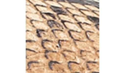 Amberarchives.shop9d61e9f50c 10