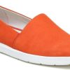 Amberarchives.shopa19a50496b 1