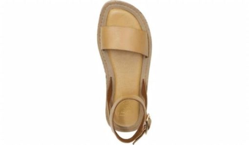 Amberarchives.shopaac7465011 7