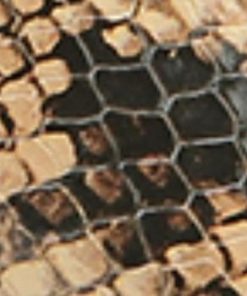 Amberarchives.shopae2558be0e 10