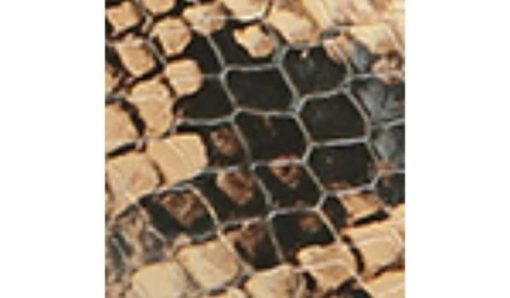 Amberarchives.shopae2558be0e 10