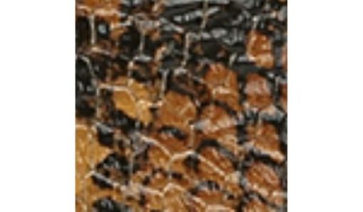 Amberarchives.shopcf72a6696c 10