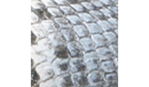 Amberarchives.shopd13cc8514b 10