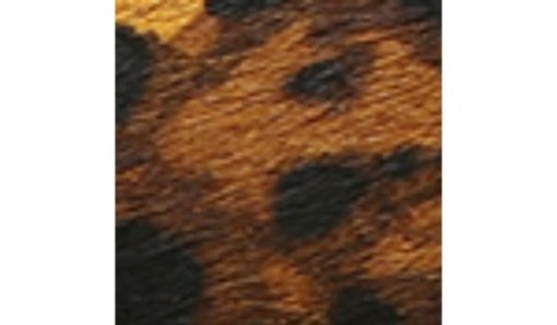 Amberarchives.shopd3cc9659d5 10