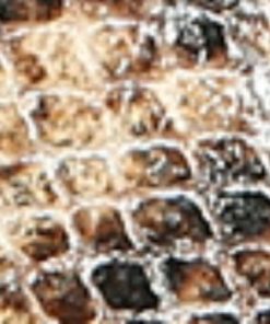 Amberarchives.shopdb8b72e7a0 10
