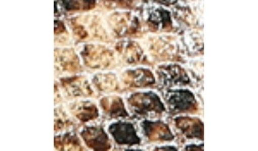 Amberarchives.shopdb8b72e7a0 10