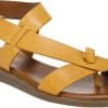 Amberarchives.shopf41449b9c3 1