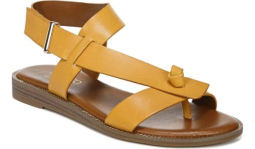 Amberarchives.shopf41449b9c3 1
