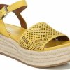 Amberarchives.shopf433d68cd6 1