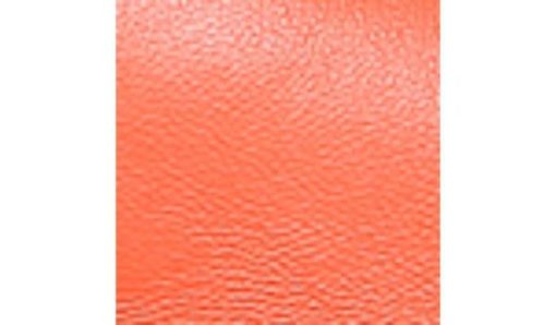 Amberarchives.shopf5c0e10d55 10