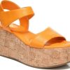 Amberarchives.shopfd52d2904e 1
