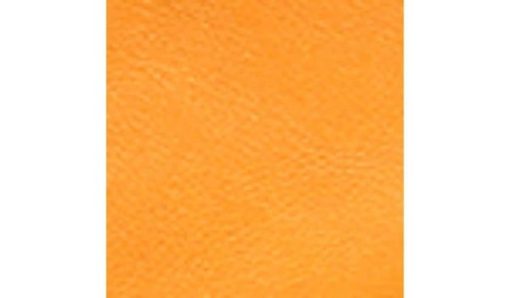 Amberarchives.shopfd52d2904e 10