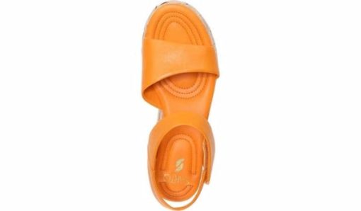 Amberarchives.shopfd52d2904e 7