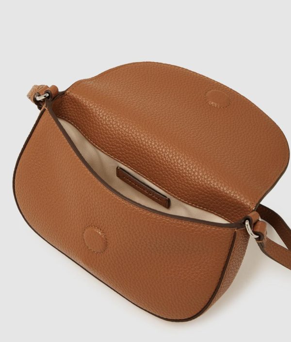 Amberarchives.shop0799f57e4e 5