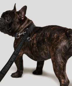 Amberarchives.shop78f57940ab 2